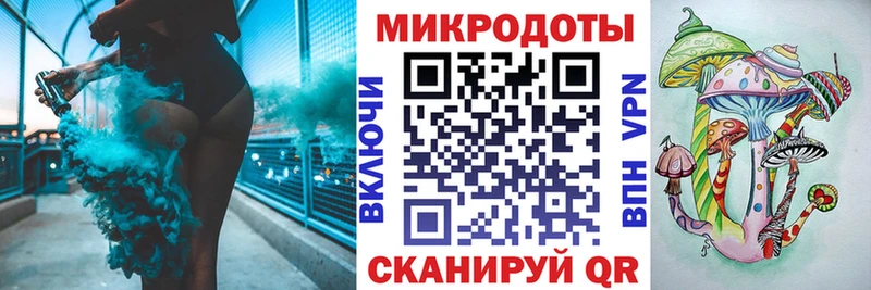 Псилоцибиновые грибы Psilocybine cubensis как найти Тара