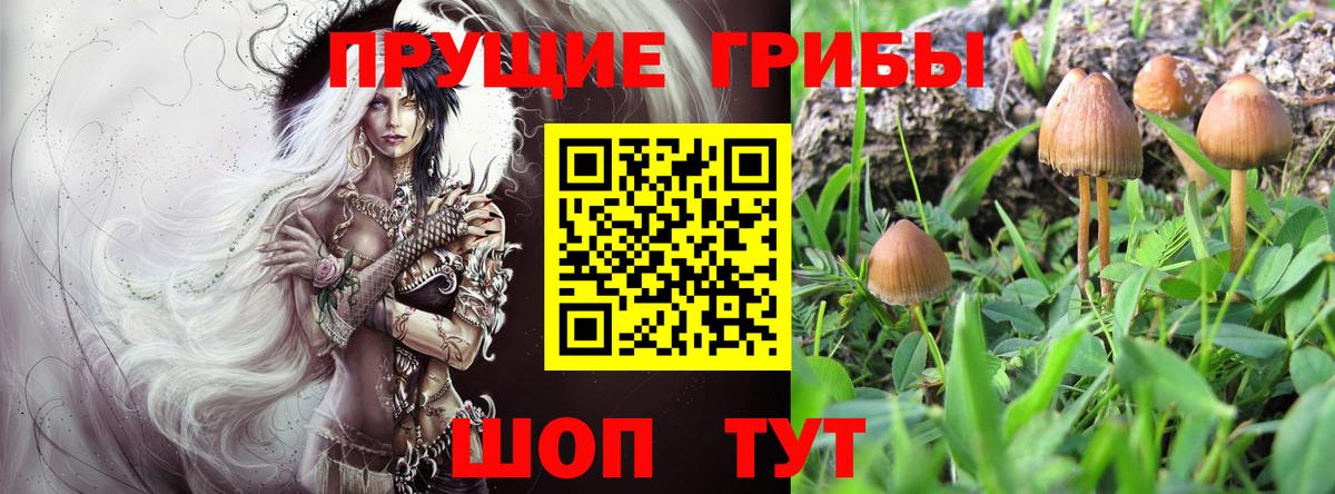 Псилоцибиновые грибы мухоморы  Вход с VPN  Тара  Галлюциногенные грибы GOLDEN TEACHER 