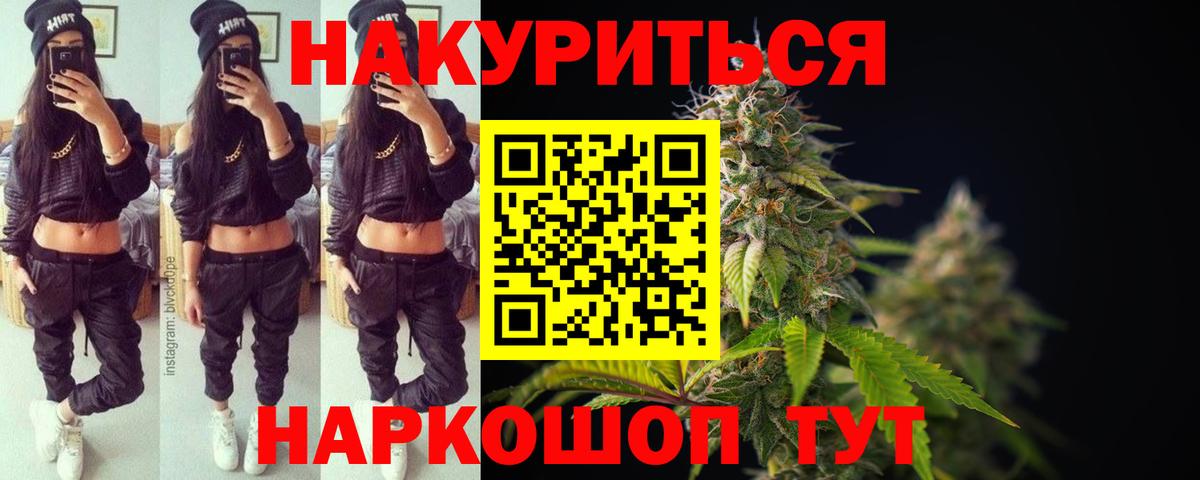 Каннабис Amnesia  Каннабис OG Kush  Бошки марихуана план  Тара  Вход с VPN  Бошки марихуана Ganja 