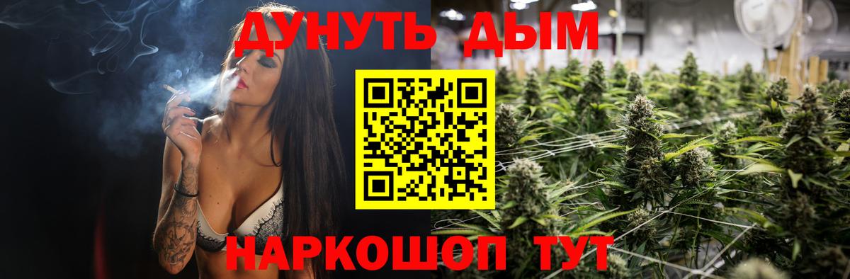 Бошки Шишки Тара